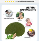 Parches dolor  de rodilla